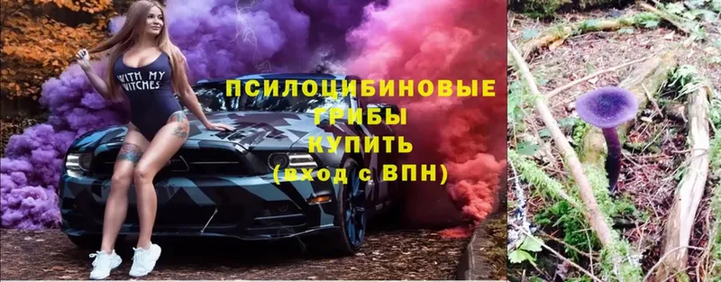 OMG зеркало  Аксай  Псилоцибиновые грибы мухоморы 