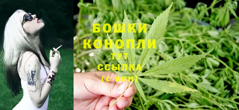 KRAKEN tor  Аксай  Шишки марихуана OG Kush 